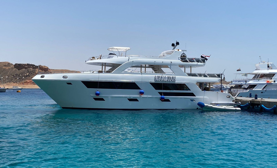 نسيم للتشجير